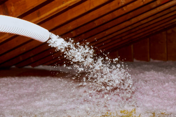 Best Basement Insulation  in Quinlan, TX